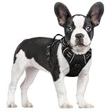 rabbitgoo Dog Harness, No Pull for Small Dogs with 2 Leash Clips, Pet Vest