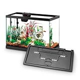 Aqueon Aquarium Starter Kit with Smart Clean Filtration and LED Lighting, Freshwater and Saltwater Fish, 20-Gallon