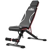 FLYBIRD WB3 Adjustable Weight Bench