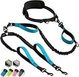 SparklyPets Hands Free Dual Dog Leash, Medium & Large (Blue)