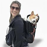 Maxine One Dog Backpack Carrier for Medium Dogs by Little Chonk | Adjustable & Ergonomic Front Facing Dog Carrier Backpack | Built to be Safer | Pet Backpack Carrier Featured in Wired Magazine - Black