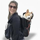 Little Chonk Maxine One Dog Backpack Carrier for Medium Dogs (Black)