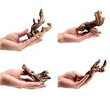 YZHZOM Small Natural Driftwood for Aquarium Styling Carefully Selected Natural Aquarium Decor Driftwood for Reptile Tank Reptile Tank Wood Decor (Driftwood 4-6inch 4pcs)