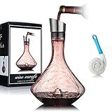 YouYah Wine Decanter Set,Red Wine Carafe with Built-in-Aerator,Wine Aerator,Wine Gifts for Christmas,Stainless Steel Pourer Lid,Filter,100% Hand Blown Lead-free Crystal Glass