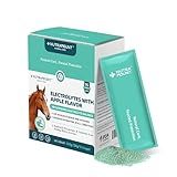 Nutramount Equine Electrolytes Supplement with Apple Flavor, Replenish Lost Minerals & Support Hydration for Horses During Training, Hot Weather or Travel – 420g