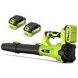 Leaf Blower Cordless, Electric Blower with 2×4.0Ah Batteries & Charger, 6-Speed, Powerful Lightweight 21V Blower Kit for Lawn, Patio, Car Drying and Light Snow, Lightweight Handheld