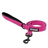 Voyager Reflective Dog Leash with Neoprene Handle, 5ft Long, Supports Small, Medium, and Large Breed Puppies, Cute and Heavy Duty for Walking, Running, and Training - Fuchsia (Leash), S