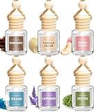 AROIC 6Pack Car Air Freshener, Hanging Essential Oil Air Freshener Diffuser
