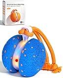 Xeuch Interactive Dog Toys, Automatic Irregular Moving and Rolling Dog Ball with 2 Speed Modes, E-TPU Material, Motion Activated Pet Toys with Rope for Dogs Puppies, Dog Stimulation Toy (Blue)