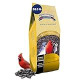 Armstrong Wild Bird Food Black Oil Sunflower Bird Seed, 35.3 Pounds - for Northern Cardinals, Blue Jays and Hairy Woodpeckers - Ideal for Outside Feeders