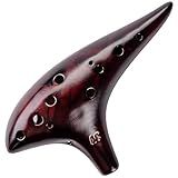 DHwebWLP Strawfire 12 Hole Ocarina Instrument,Alto C Ceramic Ocarina With Song Book Strap for Beginner (Black)