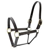 Jeffers Lexington Triple Stitched Leather Halter for Horses, Full Size – Adjustable Double Buckle Crown, Breakaway Option, Equestrian Horse Tack for Riding, Show, Travel, & Turnout - Havana