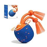 Cheerble Smart Interactive Dog Toy, Wicked Ball Rolly, Automatic Moving, Bouncing, Rotating, E-TPU Material, Active Rolling Interactive Dog Ball for Medium and Large Dogs (Blue)