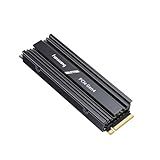 fanxiang 1TB NVMe Internal Gaming SSD for PS5 with Heatsink, Up to 7000MB/s M.2 SSD PCIe Gen 4 SSD Storage Expansion Compatible with PS5, Internal Solid State Drive for Gamers, Professionals, Creators