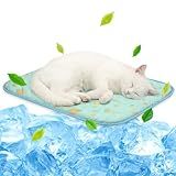 NWK Pet Cooling Mat -Q-Max>0.345 Ice Silk Cooling Mat for Dogs & Cats Portable & Washable Pet Cooling Blanket, Car Seats, Beds for Summer (Green Fruit, 20'' X 16'' X 0.3'')