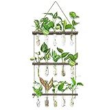 XXXFLOWER Wall Hanging Propagation Station with Wooden Stand 5 Glass Test Tubes 3 Tiered Planters Wall Terrarium for Home Office Plant Hanger Flower Vases Wall Decor Hydroponic Cuttings