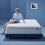 INCEPDREAM 14 Inch Queen Size Mattress Pillow Top Hybrid, Plush Feel, Memory Foam, Cooling Tencel Fabric, Pocket Coil Support, CertiPUR-US Certified
