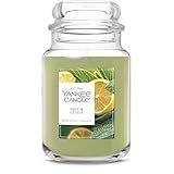 Yankee Candle Sage & Citrus, Scented Candle, 22oz Large Jar with up to 150 Hour Burn Time, Giftable, Birthdays