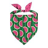 Watermelon Triangle Dog Bandana, Watermelon, One Size