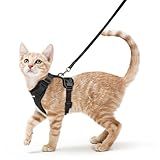 rabbitgoo Cat Harness and Leash for Walking, Escape Proof Soft Adjustable Vest Harnesses for Cats, Easy Control Breathable Reflective Strips Jacket, Black, XS