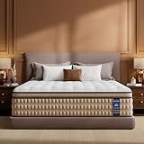 BedStory Extra Firm Queen Mattress 14 inch - Pain-Relieving Hybrid Mattress for Extra Lumbar & Hip Support - No Sagging Bed in a Box - 365-Night Trial - No Odor, Fiberglass-Free, CertiPUR-US Certified