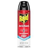 Raid Ant & Roach Killer Spray, Outdoor Fresh, For Listed Bugs, Keeps Killing for Weeks, Fresh Scent, 17.5 oz