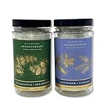 Bath & Body Works - Aromatherapy - Shower Steamers, 6 Tablets Each - 2 Pack Bundle - Lavender Vanilla and Eucalyptus Spearmint