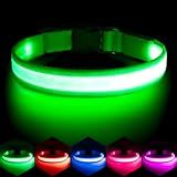 Vizpet LED Dog Collar, Light Up Dog Collar Adjustable USB Rechargeable Super Bright Safety Light Glowing Collars for Dogs(Medium,Green)