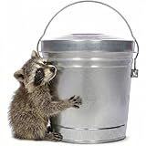 Galvanized Steel Locking Lid Storage Can, 6 Gallon, Heavy Duty Metal Pail for Bird Seed, Dry Pet Food, Charcoal Ash, Rodent Proof, Rust Resistant with Wire Bail Handle