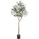 Artificial Olive Tree - 6ft Realistic Artificial Plants Indoor Decor - Elegant Faux Olive Tree for Living Room, Bedroom, Bathroom, Office - Tall Fake Potted Plants with Moss Base for Chic Home Décor