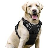 rabbitgoo Dog Harness No Pull with 2 Leash Clips, Adjustable Soft Padded, Reflective Oxford No Choke Pet Vest with Easy Control Handle for Large Dogs, Black, L