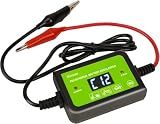 200AH Lead Acid Battery Desulfator 12-48V Auto Pulse Desulfator 2A Battery Regenerator Extending Battery Life