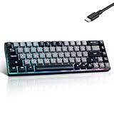 Wired Portable 60% Mechanical Gaming Keyboard,RGB LED Backlit Compact 68 Keys Mini Wired Office Keyboard with Red Switch for Windows Laptop PC Mac -Grey and Black