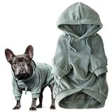 Pet Passion Cooper II Dog Hoodie, Sage, Medium