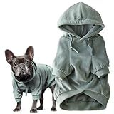 Pet Passion Cooper II Organic Cotton Velour Dog Hoodie Pet Coat for Small, Medium and Large Dogs, Sage, Medium (20-45 lbs)