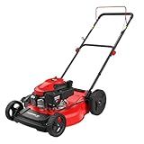 PowerSmart 21 in. Gas Lawn Mower with 144cc OHV Engine, 2-in-1 Push Mower with Mulching & Side-Discharge
