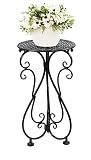 NAKUPE Plant Stand Indoor Outdoor, Metal Small Side Table 17" Tall, Black