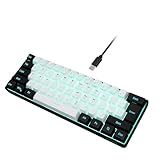 Snpurdiri 60% Wired Gaming Keyboard, 61 Keys RGB Backlit Ultra-Compact Small Gaming Keyboard, for PC/Mac Gamer, Typist, Travel, Easy to Carry on Business Trip(Black-White)