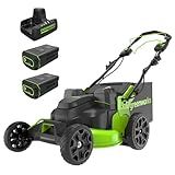 Greenworks 82V 25” Brushless (Self-Propelled) Cordless Lawn Mower, (2) 4.0Ah Batteries and Dual Port Rapid Charger (Great for Landscapers and Professionals)