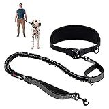 Tuff Pupper Heavy Duty Hands Free Dog Leash | One Large Dog Up to 125 lbs | Comfortable Shock Absorbing Bungee | Reflective Padded Handles | Lumbar Waist Belt 26-38" | Walking Jogging Running Leash