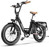 EUY 1500W Peak Electric Bike for Adults, 48V 20Ah Removable Battery Max Range 80Miles & 30MPH Electric Bicycle, 20×4.0" Fat Tire Ebike,Fast Cargo Ebikes,Commute Mountain Step Thru E-Bike