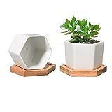 T4U Small White Succulent Planter Pots with Bamboo Tray Hexagon Set of 2, Geometric Ceramic Cactus Plant Holder, Succulent Plant Gifts for Gardener Women Coworker, Home Office Table Desk Decoration
