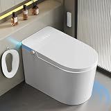Smart Toilet with Bidet Built-in: Bidet Toilet with 5L Tank, Dual Flush