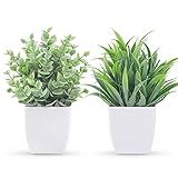 Der Rose 2 Pack Small Fake Plants Mini Artificial Potted Plants for Table Desk Home Laundry Room Bathroom Office Decor