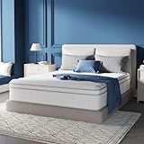 Avenco Queen Mattress 12 Inch in a Box, Queen Size Medium Plush Mattresses with Pocket Spring Smarts Coil Hybrid Colchones for Pressure Relief, CertiPUR-US Certified