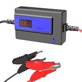 Battery Desulfator, Automatic Pulse Lead-Acid Battery Reconditioner for Life Extension and Repair (PL04C-400AH Blue)