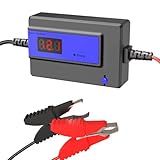 Battery Desulfator, Automatic Pulse Lead-Acid Battery Reconditioner for Life Extension and Repair (PL04C-400AH Blue)