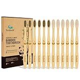 Isshah Biodegradable Bamboo Charcoal Toothbrush - 12 Pack - FSC Certified