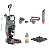 Shark CarpetXpert | Upright Carpet, Area Rug & Upholstery Cleaner | Carpet Shampooer with Handheld Spot & Stain Eliminator | 3 Cleaning Tools | Slate Green | EX151