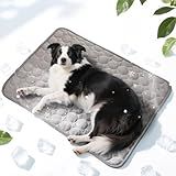 LOOHOI Dog Cooling Mat,2025 Upgraded Washable Pet Cooling Pad for Dogs & Cats,Keep Cool for Pets in Summer,Dog Bed for Outdoor & Home Use,39×30"(Gray, X-Large)